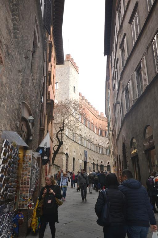 Del Campo